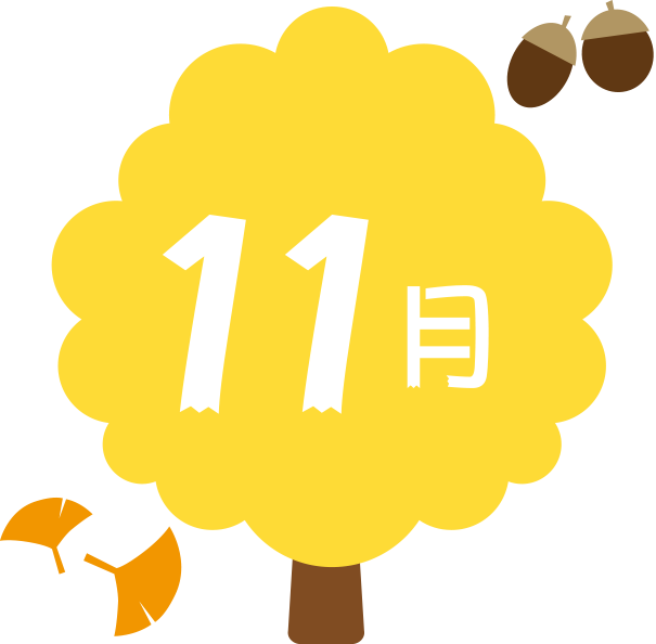 11月